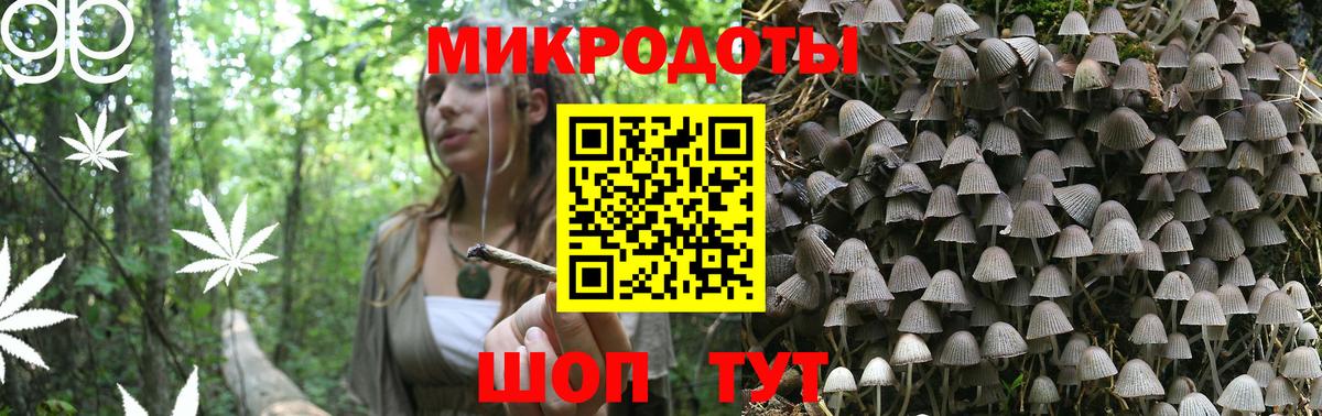 Знаменск  Псилоцибиновые грибы прущие грибы  Псилоцибиновые грибы Cubensis  Вход с VPN 